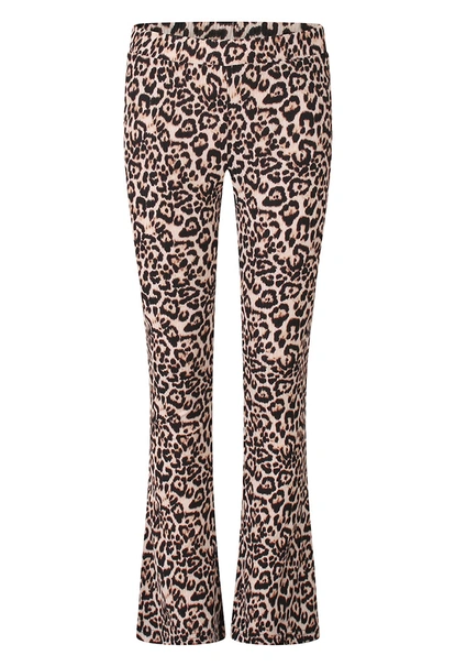 D-zine meisjes broek